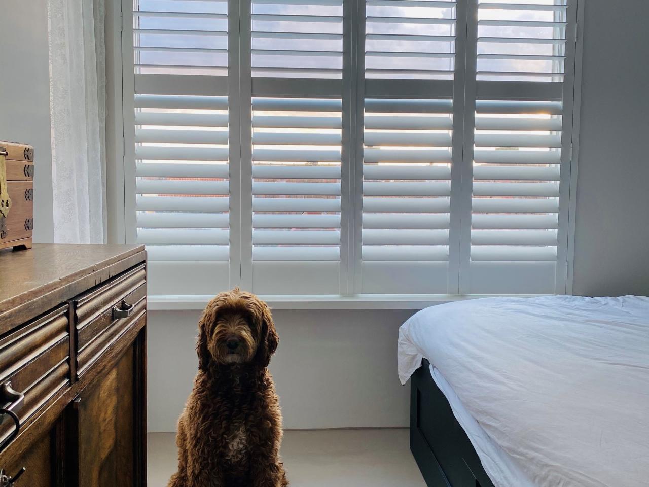 Shutters raambekleding interieur droomhuis Beurs Eigen Huis